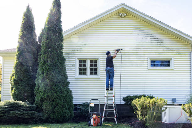 Best Deck Cleaning Services  in Aetna Estates, CO